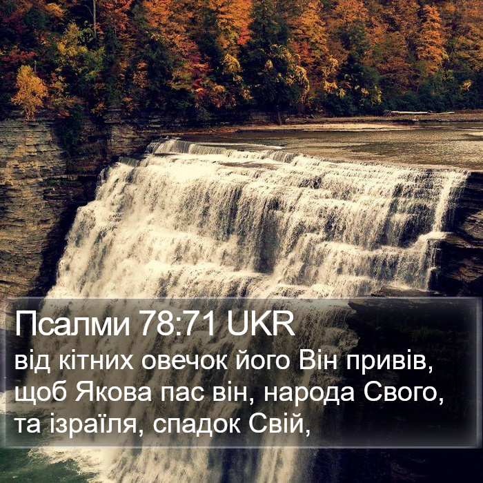 Псалми 78:71 UKR Bible Study