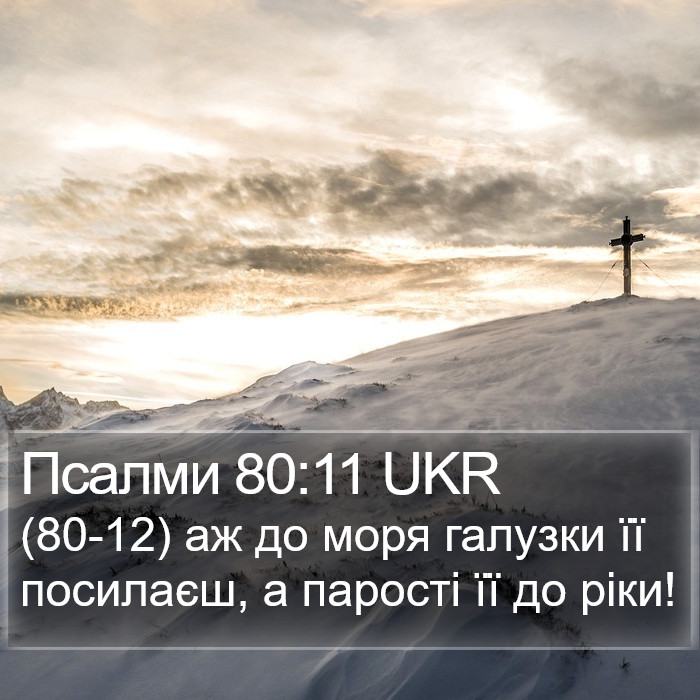 Псалми 80:11 UKR Bible Study