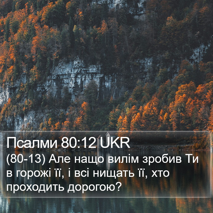 Псалми 80:12 UKR Bible Study