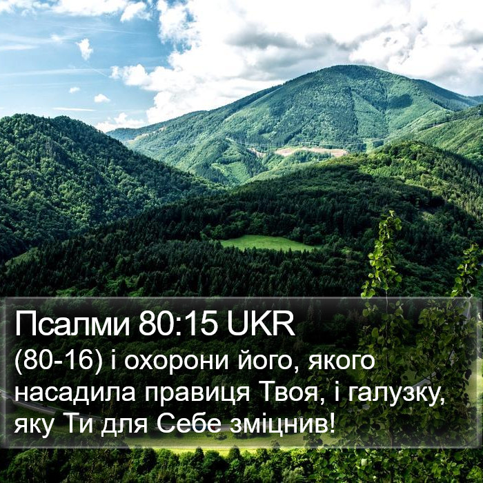 Псалми 80:15 UKR Bible Study