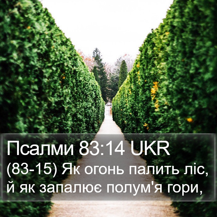 Псалми 83:14 UKR Bible Study