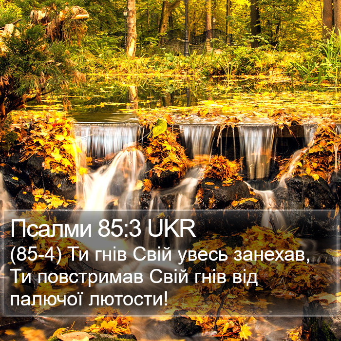 Псалми 85:3 UKR Bible Study