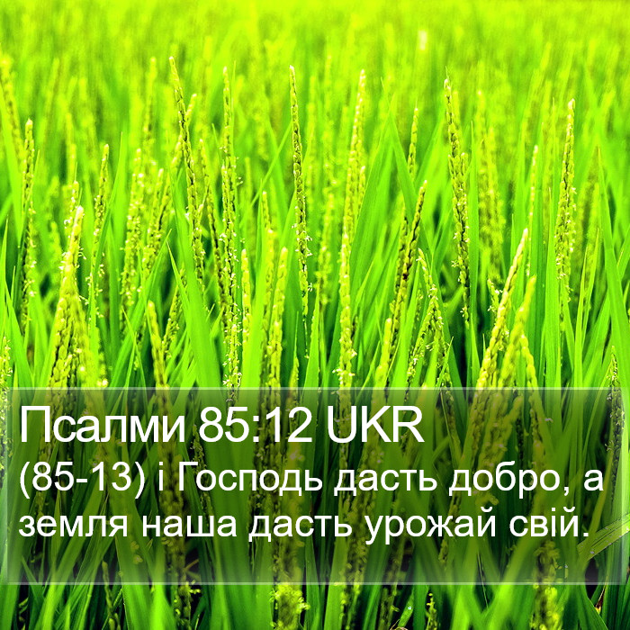 Псалми 85:12 UKR Bible Study