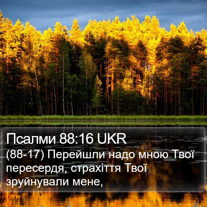 Псалми 88:16 UKR Bible Study