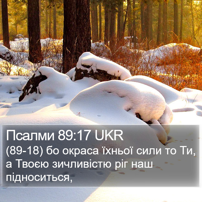 Псалми 89:17 UKR Bible Study