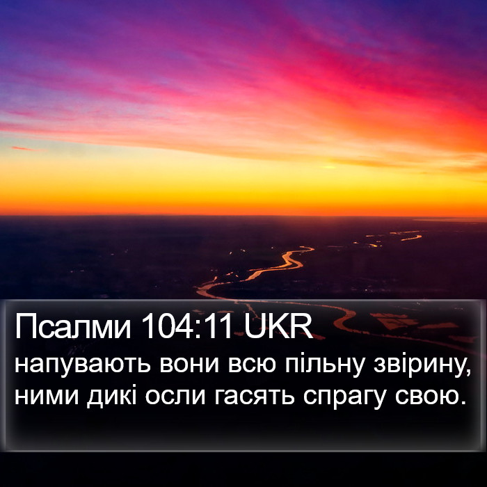Псалми 104:11 UKR Bible Study