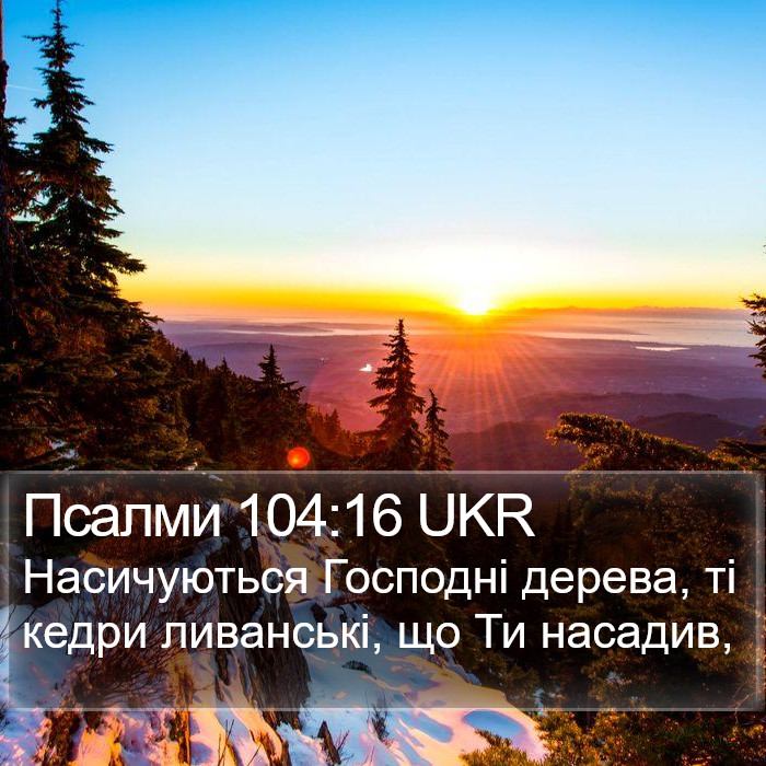 Псалми 104:16 UKR Bible Study
