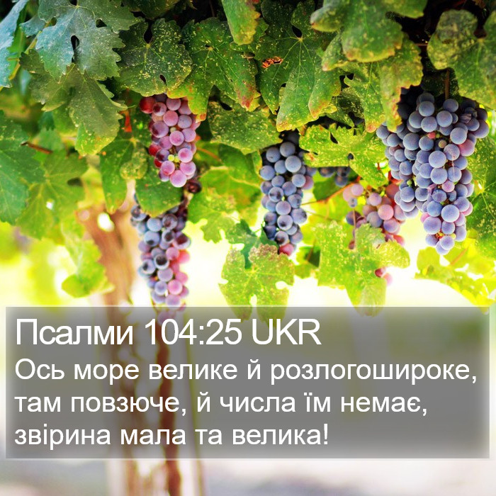 Псалми 104:25 UKR Bible Study