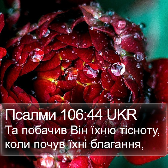 Псалми 106:44 UKR Bible Study