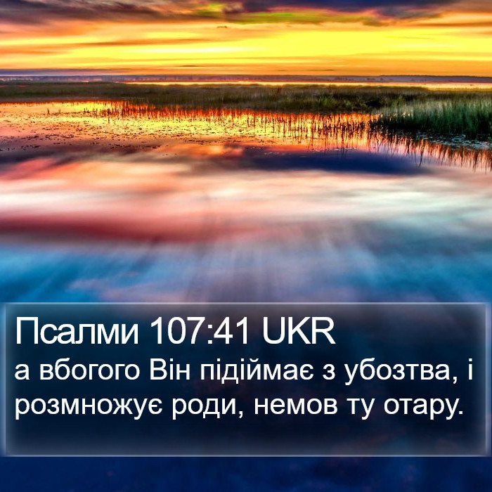 Псалми 107:41 UKR Bible Study
