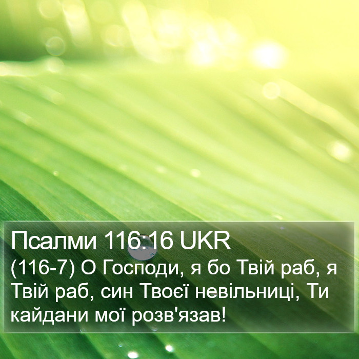 Псалми 116:16 UKR Bible Study