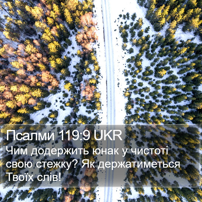 Псалми 119:9 UKR Bible Study