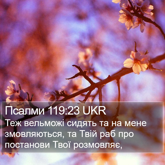 Псалми 119:23 UKR Bible Study