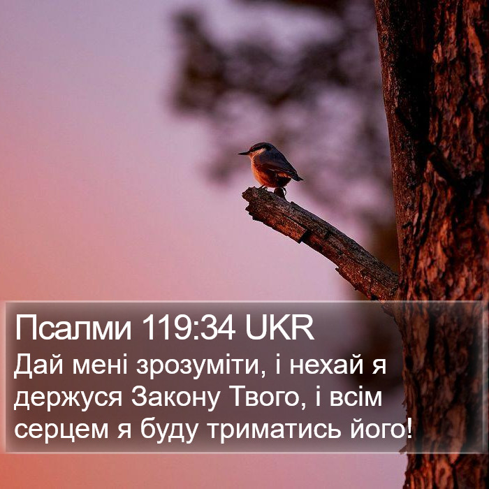 Псалми 119:34 UKR Bible Study