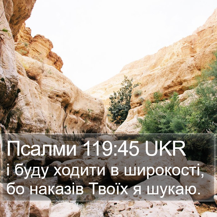 Псалми 119:45 UKR Bible Study