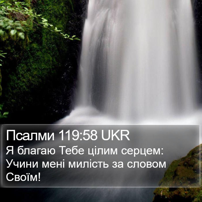 Псалми 119:58 UKR Bible Study