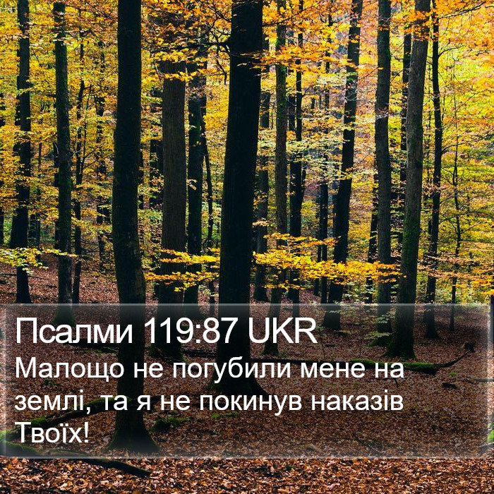 Псалми 119:87 UKR Bible Study