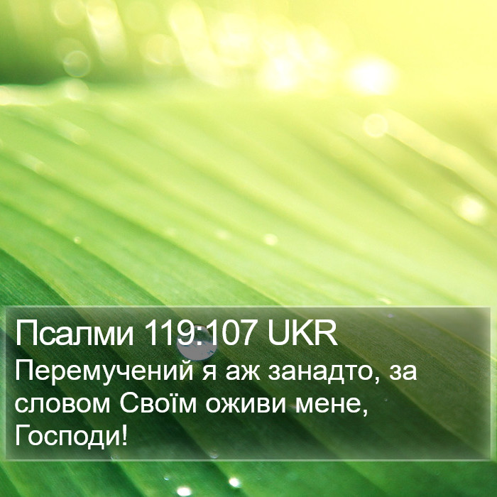 Псалми 119:107 UKR Bible Study