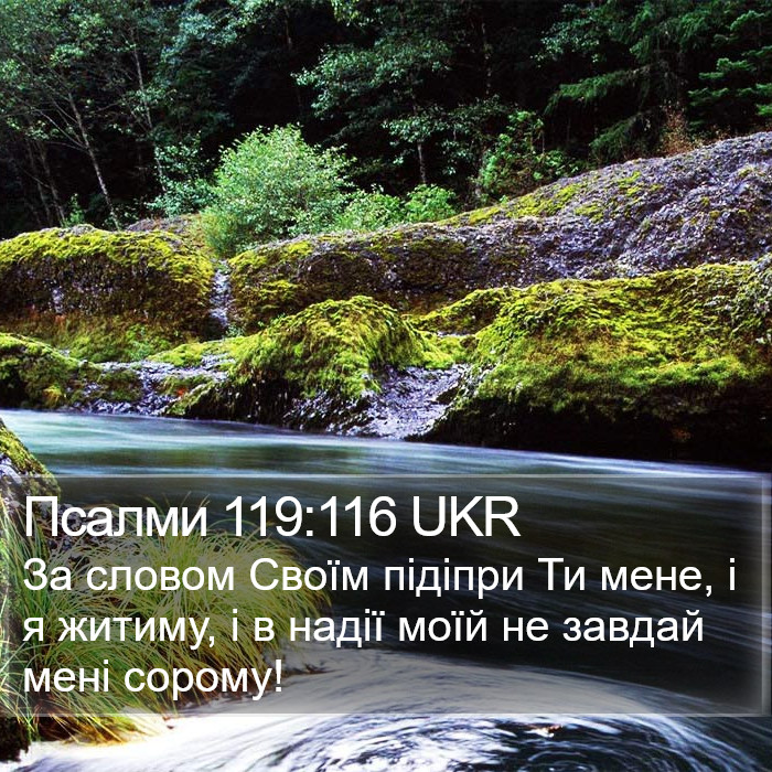 Псалми 119:116 UKR Bible Study