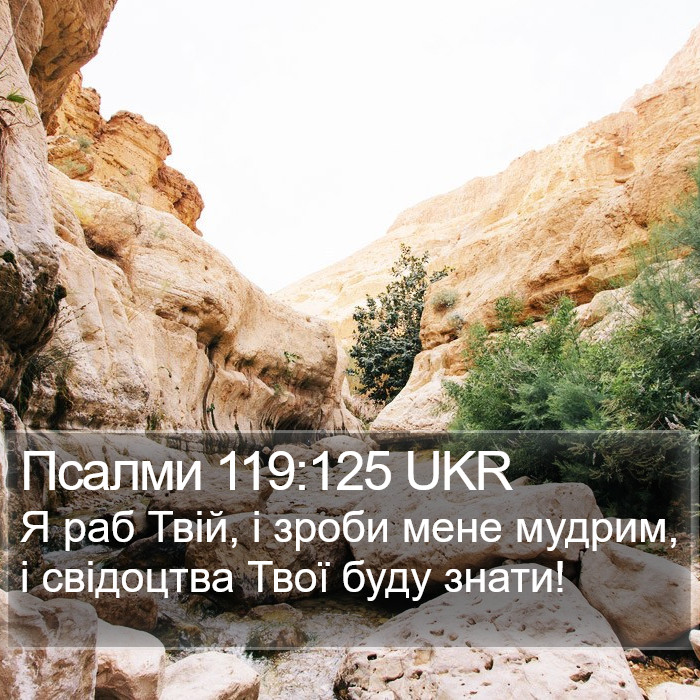 Псалми 119:125 UKR Bible Study