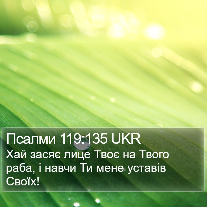 Псалми 119:135 UKR Bible Study