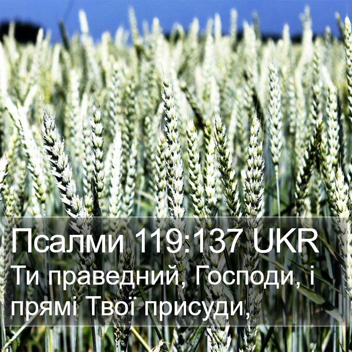 Псалми 119:137 UKR Bible Study