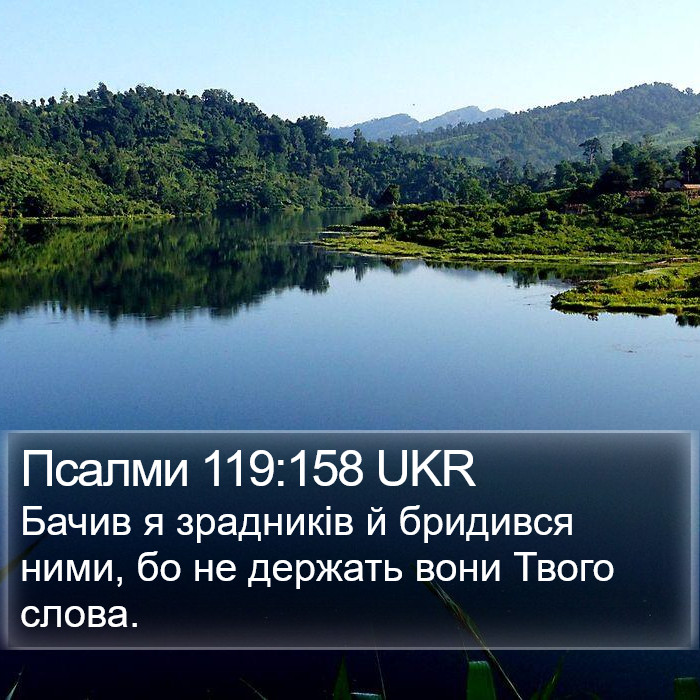 Псалми 119:158 UKR Bible Study