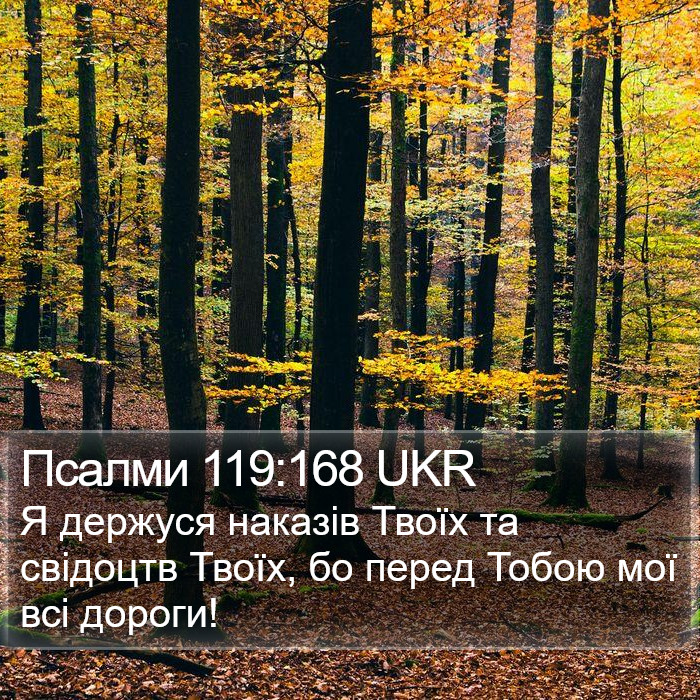 Псалми 119:168 UKR Bible Study