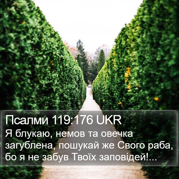 Псалми 119:176 UKR Bible Study