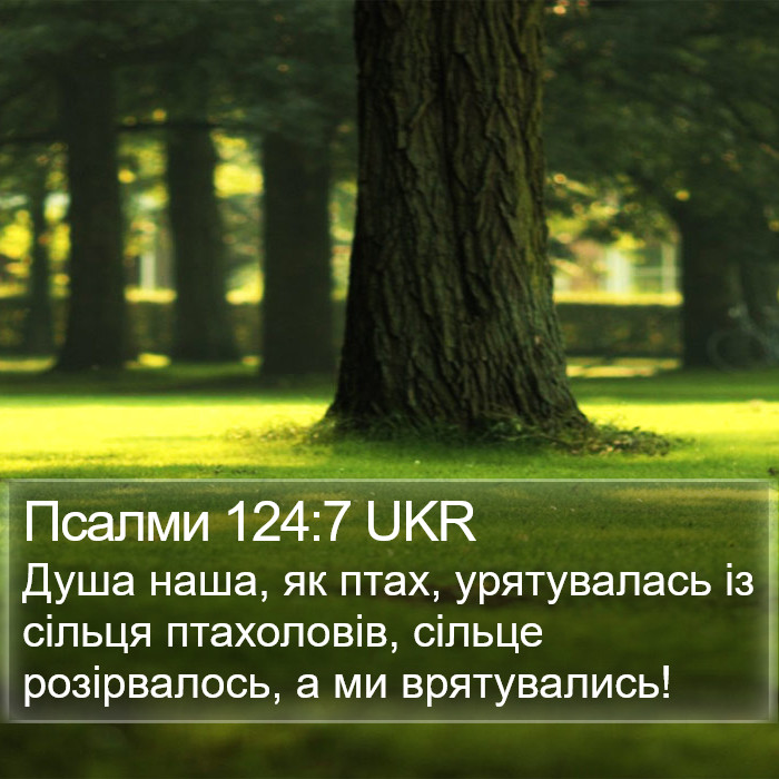 Псалми 124:7 UKR Bible Study