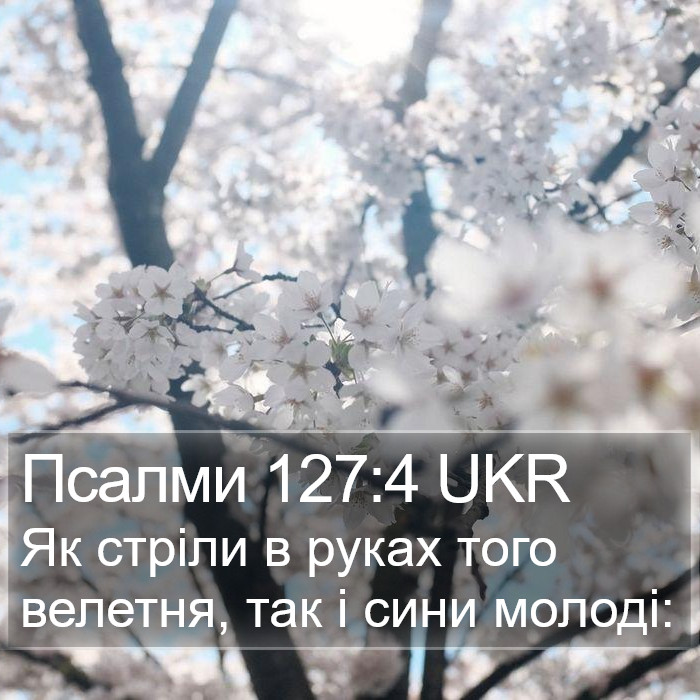 Псалми 127:4 UKR Bible Study