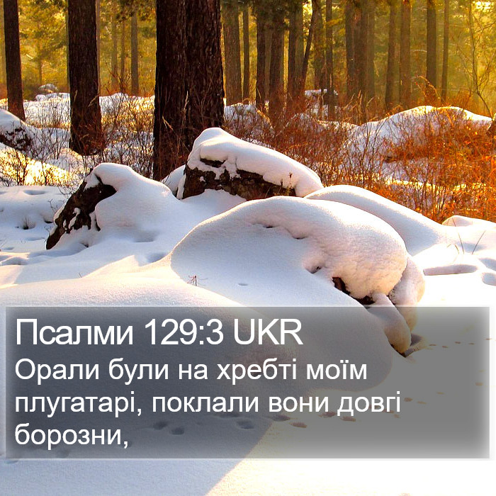 Псалми 129:3 UKR Bible Study