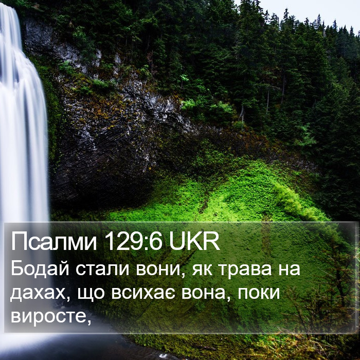 Псалми 129:6 UKR Bible Study