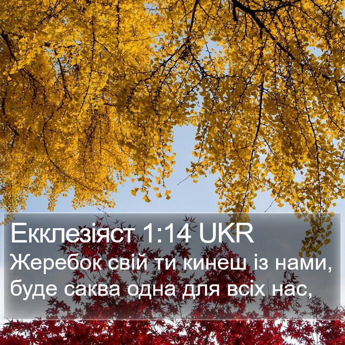 Екклезіяст 1:14 UKR Bible Study