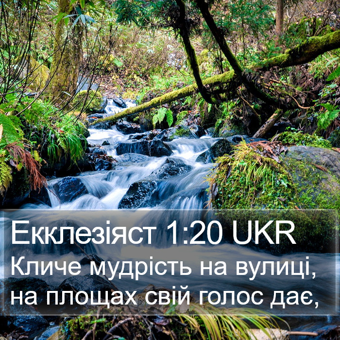 Екклезіяст 1:20 UKR Bible Study