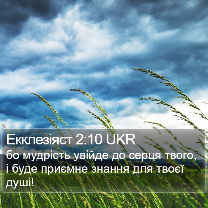 Екклезіяст 2:10 UKR Bible Study