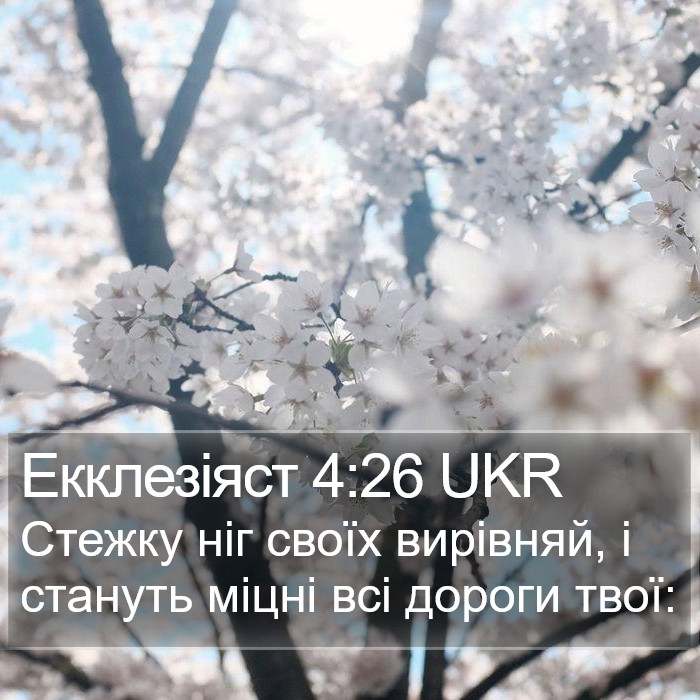 Екклезіяст 4:26 UKR Bible Study