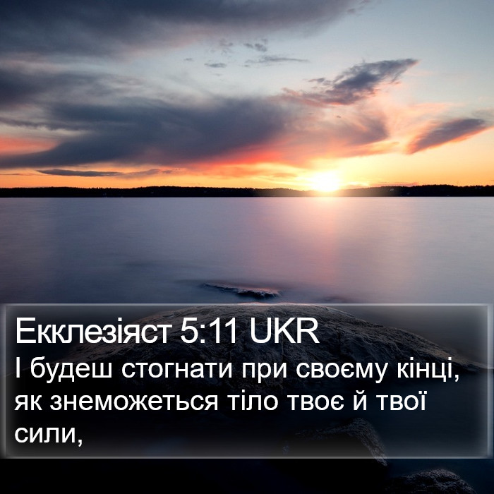 Екклезіяст 5:11 UKR Bible Study