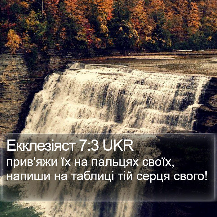 Екклезіяст 7:3 UKR Bible Study