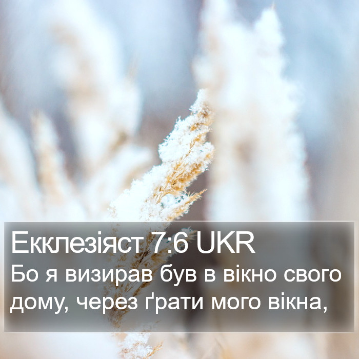 Екклезіяст 7:6 UKR Bible Study