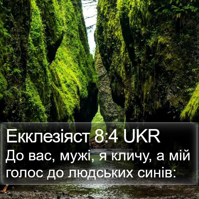 Екклезіяст 8:4 UKR Bible Study