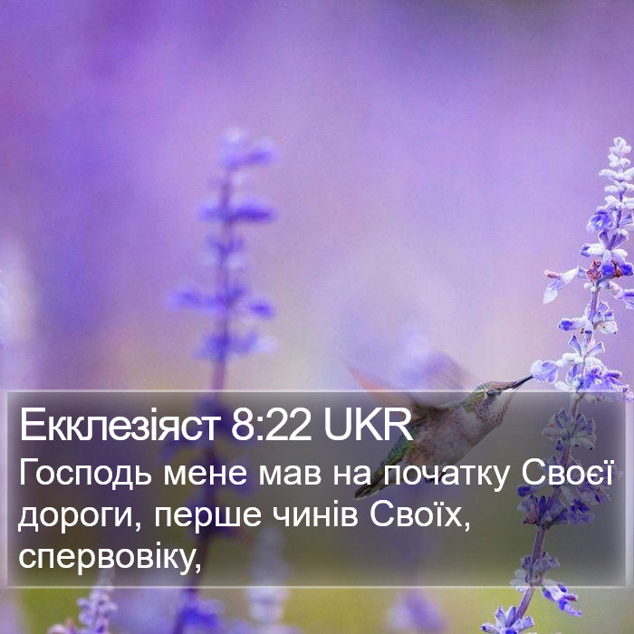 Екклезіяст 8:22 UKR Bible Study