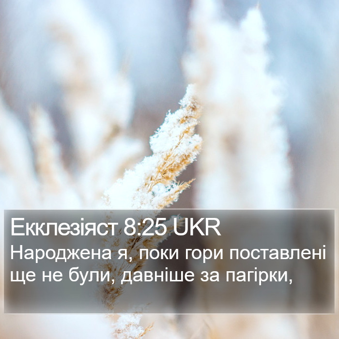 Екклезіяст 8:25 UKR Bible Study