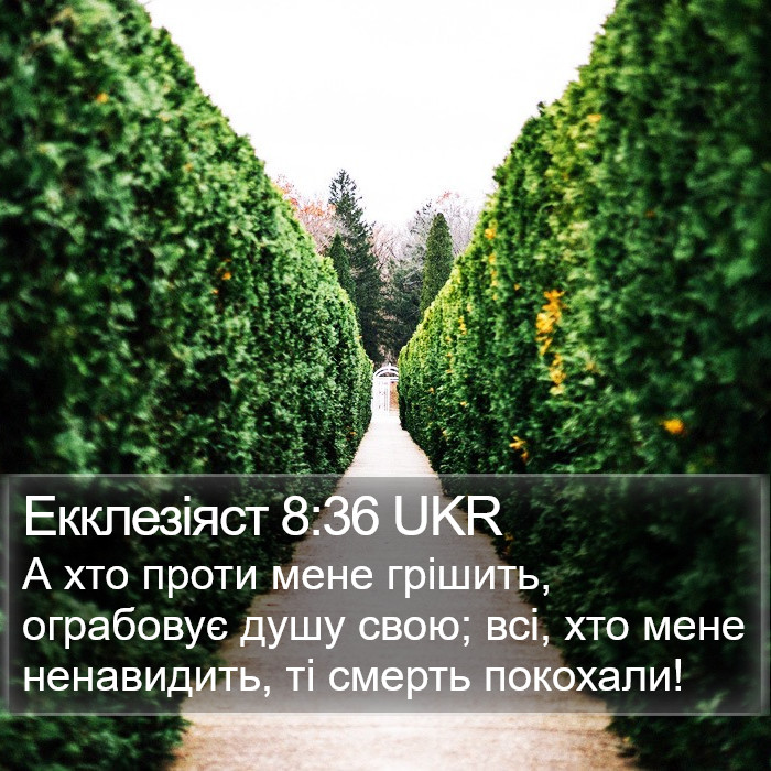 Екклезіяст 8:36 UKR Bible Study