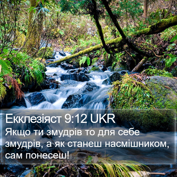 Екклезіяст 9:12 UKR Bible Study