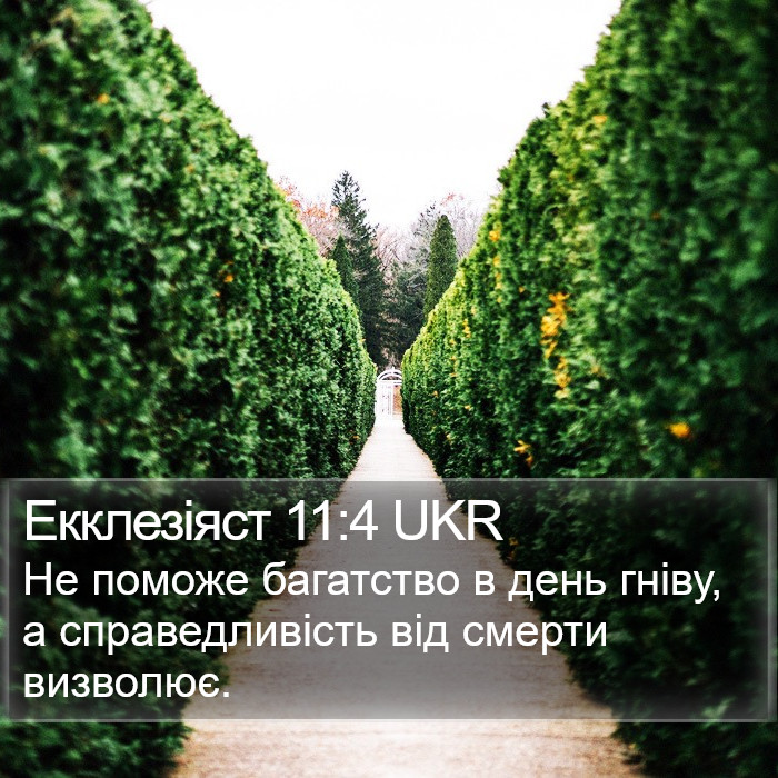 Екклезіяст 11:4 UKR Bible Study