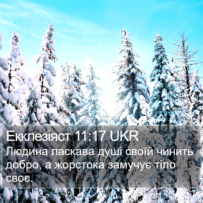 Екклезіяст 11:17 UKR Bible Study