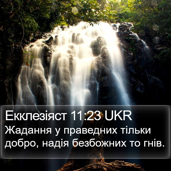 Екклезіяст 11:23 UKR Bible Study