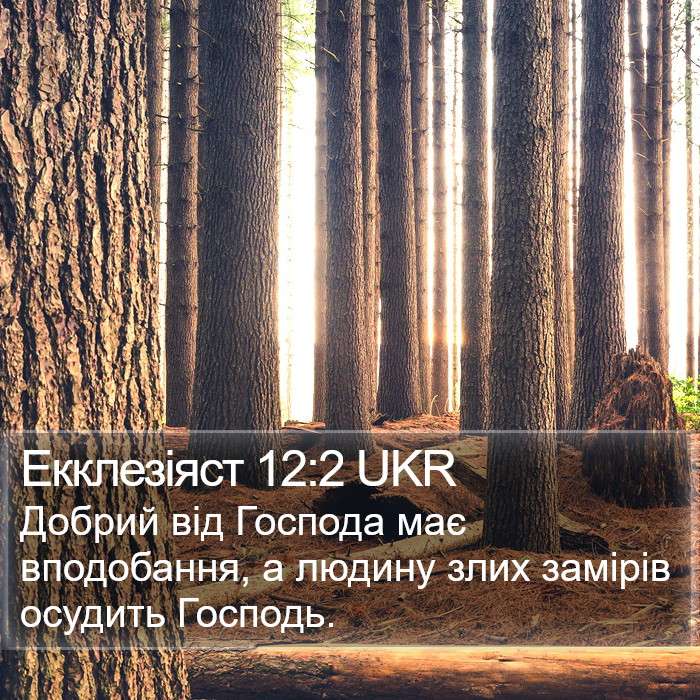 Екклезіяст 12:2 UKR Bible Study