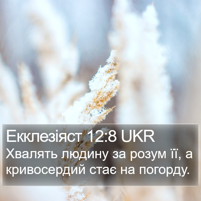 Екклезіяст 12:8 UKR Bible Study